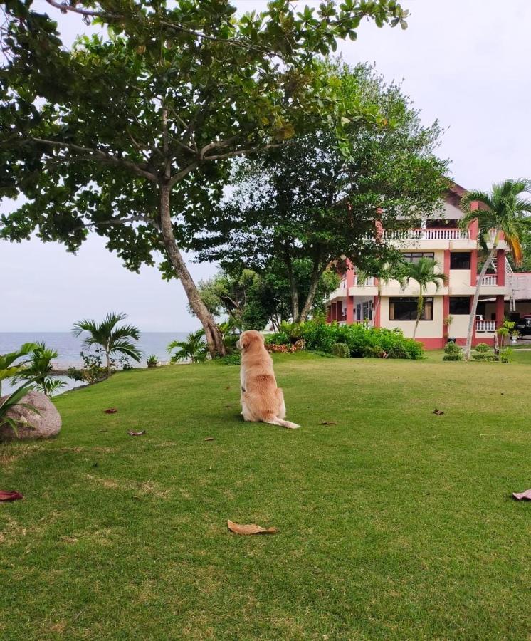 Wuthering Heights Bed & Breakfast By The Sea 두마구에테 외부 사진